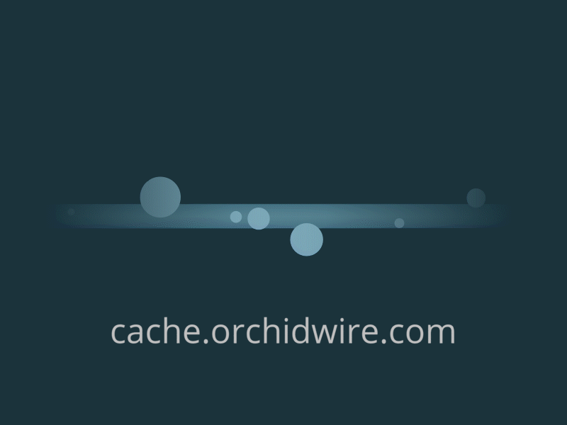 cache.orchidwire.com